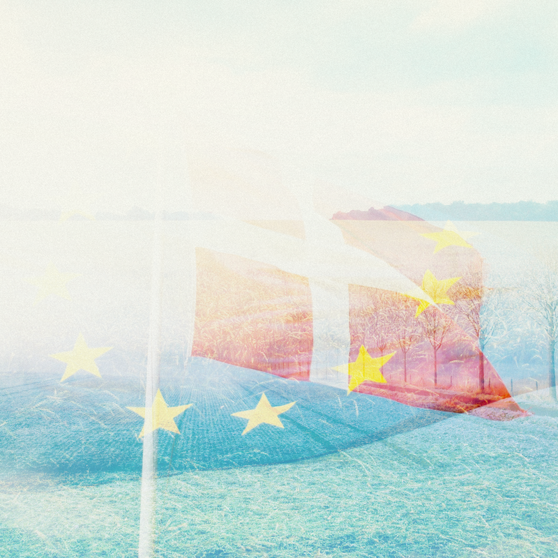 Collage med dannebrog og EU-flag