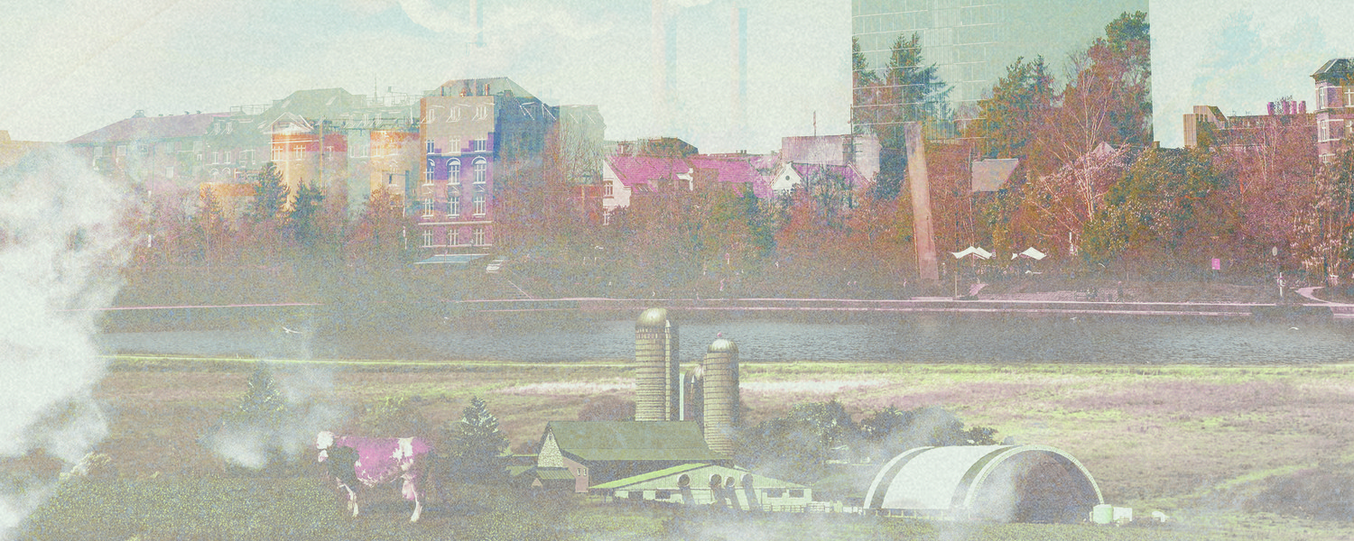 Collage som viser både by-, mark- og skovlandskab